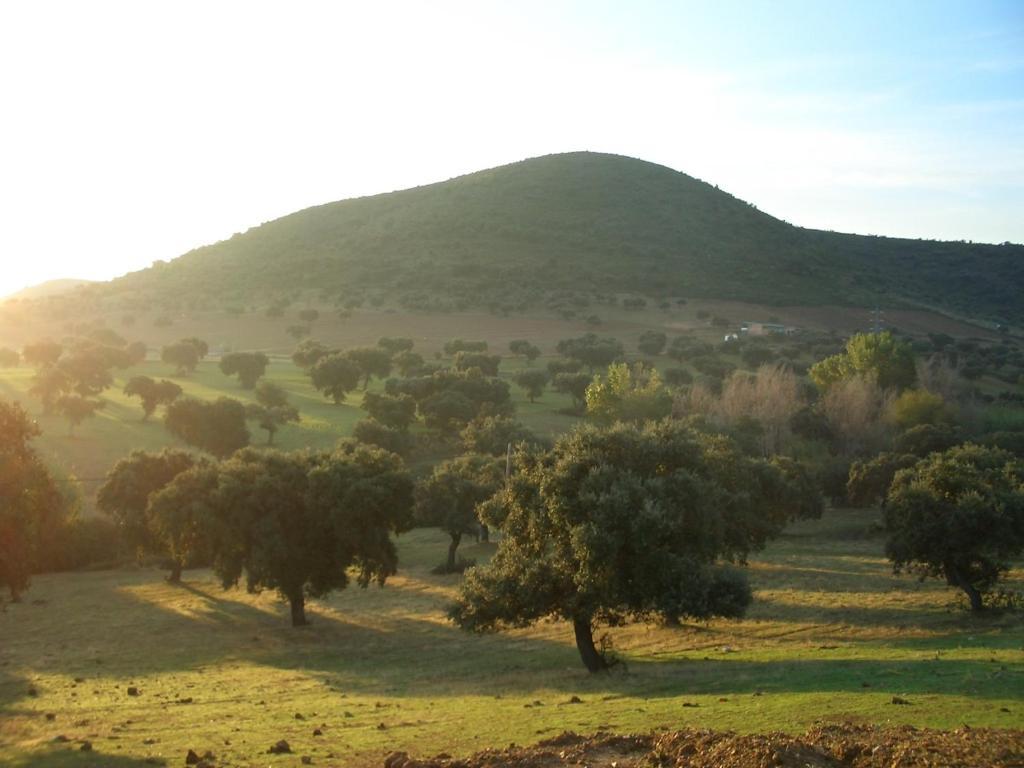 Cortijo El Criadero Эль-Ойо Номер фото